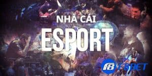 Nhà cái Esport - Top 5 sự lựa chọn sáng giá nhất năm 2024