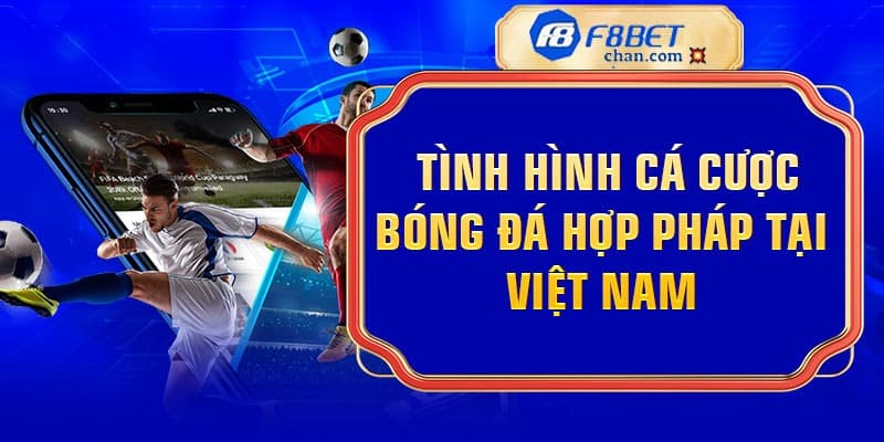 Tình hình cá cược bóng đá hợp pháp tại Việt Nam